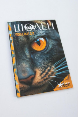 Щоденник учнівський, 165х240 мм, 40 аркушів, тверда обкладинка